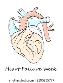 Heart Failure Week February Meedical Event Stock Vector (Royalty Free ...