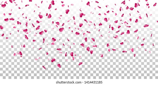Heart falling confetti isolated white transparent background. Pink fall hearts. Valentine day decoration. Love element design, hearts-shape confetti wedding card, romantic holiday Vector illustration