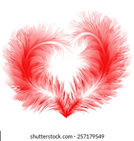 Heart from feathers on white background