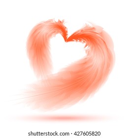 Heart of feathers on white background.