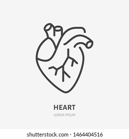 Heart flat line icon. Vector thin pictogram of human internal organ, outline illustration for cardiology clinic.