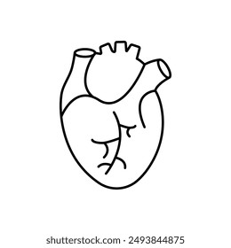 Heart flat line icon. Vector thin pictogram of human internal organ, outline illustration for cardiology clinic.