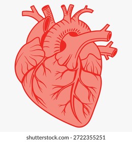 Pictograma delgado del Vector del icono de la línea plana del corazón del órgano interno humano, ilustración del esquema para la clínica de la cardiología. 
