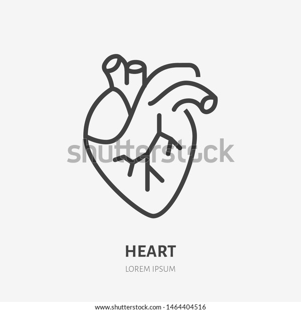 Heart flat\
line icon. Vector thin pictogram of human internal organ, outline\
illustration for cardiology\
clinic.