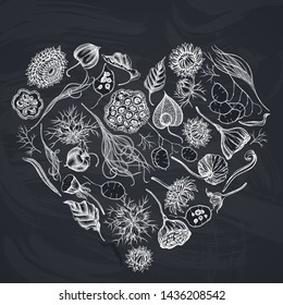 Heart floral design with chalk black caraway, feather grass, helichrysum, lotus, lunaria, physalis