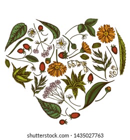 Heart floral design with colored aloe, calendula, lily of the valley, nettle, strawberry, valerian