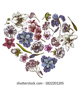 Heart floral design with colored anemone, lavender, rosemary everlasting, phalaenopsis, lily, iris