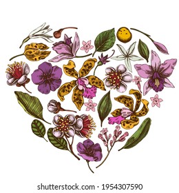 Heart floral design with colored laelia, feijoa flowers, glory bush, papilio torquatus, cinchona, cattleya aclandiae