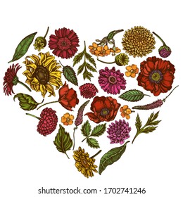 Heart floral design with colored poppy flower, gerbera, sunflower, milkweed, dahlia, veronica