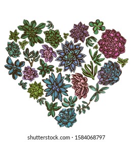 Heart floral design with colored succulent echeveria, succulent echeveria, succulent