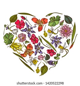 Heart floral design with colored ylang-ylang, impatiens, daffodil, tigridia, lotus, aquilegia