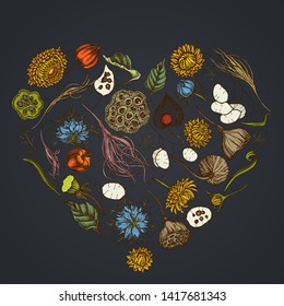 Heart floral design on dark background with black caraway, feather grass, helichrysum, lotus, lunaria, physalis