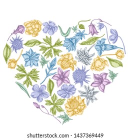 Heart floral design with pastel bellflower, edelweiss, globethistle, globeflower, meadow geranium, gentiana