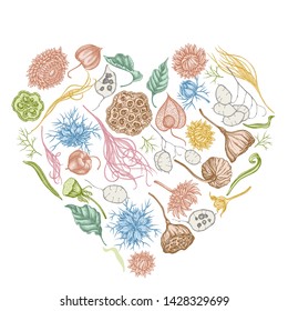 Heart floral design with pastel black caraway, feather grass, helichrysum, lotus, lunaria, physalis