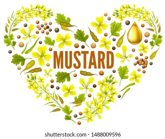 Heart of flower mustard for packaging design and advertising. Isolated vector illustration  on white background.