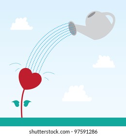 Heart flower watered and growing