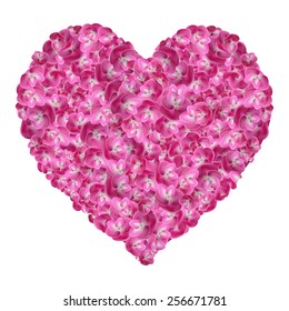 heart of flowers hydrangea on white background