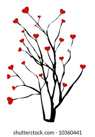 Heart fruit tree
