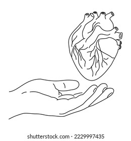 Corazón en mano.  Mano extendida.  Ayuda.  Imagen del corazón.  Abrí mi corazón.  Ilustración vectorial única.  A corazón abierto. Buques y sangre.  Palpitaciones.