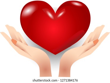Heart in hands .Love, romantic Isolated vector illustration - เวกเตอร์