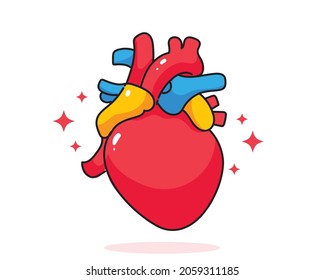 Heart Human Anatomy Biology Organ Body System Health Care And Medical Hand Drawn Cartoon Art Illustration