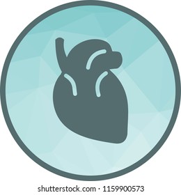 Heart, human, blood