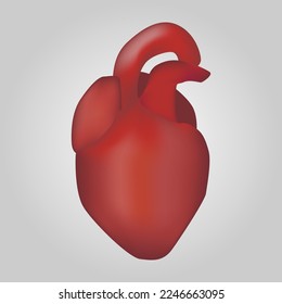 Herz des Menschen. Herz-Kreislauf-System. Realistisches Design. Einzeln. Vektorgrafik .