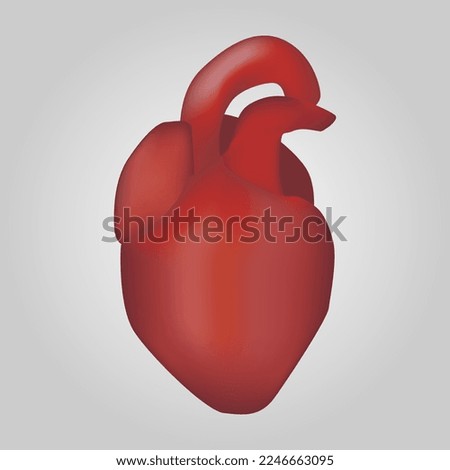 Heart of human . Cardiovascular system . Realistic design . Isolated . Vector illustration .