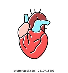 heart human organ color icon vector. heart human organ sign. isolated symbol illustration