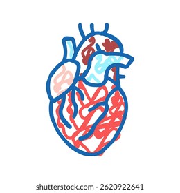 coração humano órgão doodle ícone esboço vetor. coração sinal de órgão humano. símbolo isolado ilustração
