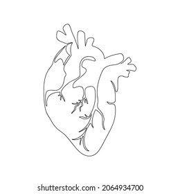 Heart Human Organ Drawn By One Line. Anatomical Sketch. Continuous Line Drawing Art. Simple Vector Illustration In Minimal Style.