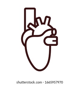 heart human organ line style vector illustration design