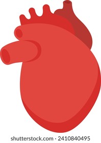 Heart Human Organ Vector Illustration