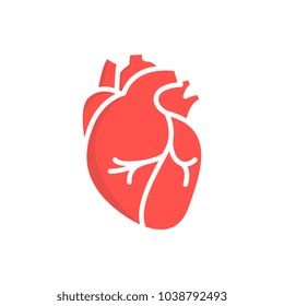 89,631 Anatomical Stock Vectors, Images & Vector Art | Shutterstock