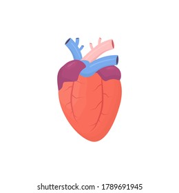 Icono de corazón. Forma de corazón de color humano en ilustración vectorial de estilo plano aislada en fondo blanco. Órgano interno humano.