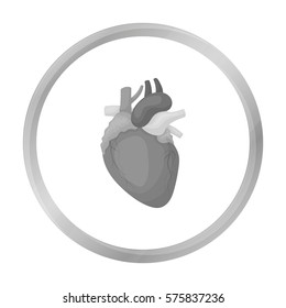 Heart icon in monochrome style isolated on white background. Organs symbol stock vector illustration.