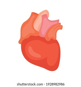 Heart. Icon. Vector illustration isolated on white background.