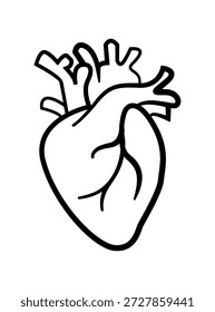 Heart icon vector illustrations, Anatomy line icons of Human internal organs, body parts vital internal organs isolated, internal organ. Minimal medical line icon. Heart Outline Icon isolated.
