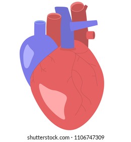A heart illustration.