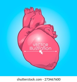 Heart illustration