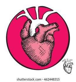 Heart illustration