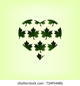 heart illustration of green maple leaves