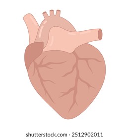 Herzgrafik, Vektordesign menschlicher Innenorgane