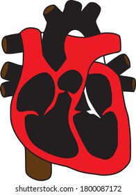 Heart image