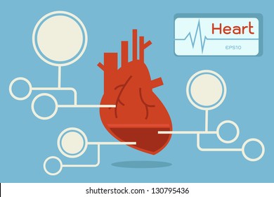 Heart Infographic, Vector