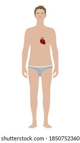 Heart  isolated on standing man. vector