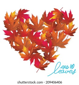 Heart of leaves,vector