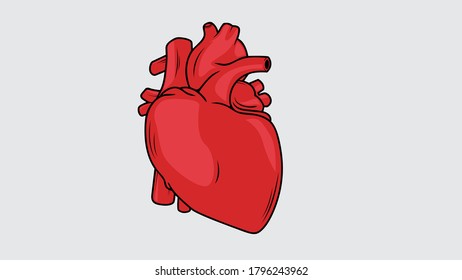 The heart is like the engine that is always on
