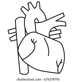 Heart line