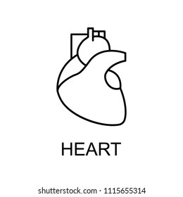 heart line icon. Element of medicine icon with name for mobile concept and web apps. Thin line heart icon can be used for web and mobile on white background